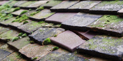 South Heighton roof repair costs